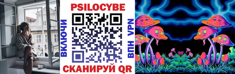 Галлюциногенные грибы Cubensis как найти Красновишерск